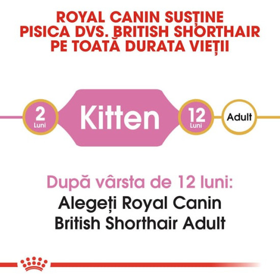 Royal Canin British Shorthair Kitten – Hrană Uscată pentru Pisici Tinere din Rasa British Shorthair – 10 kg